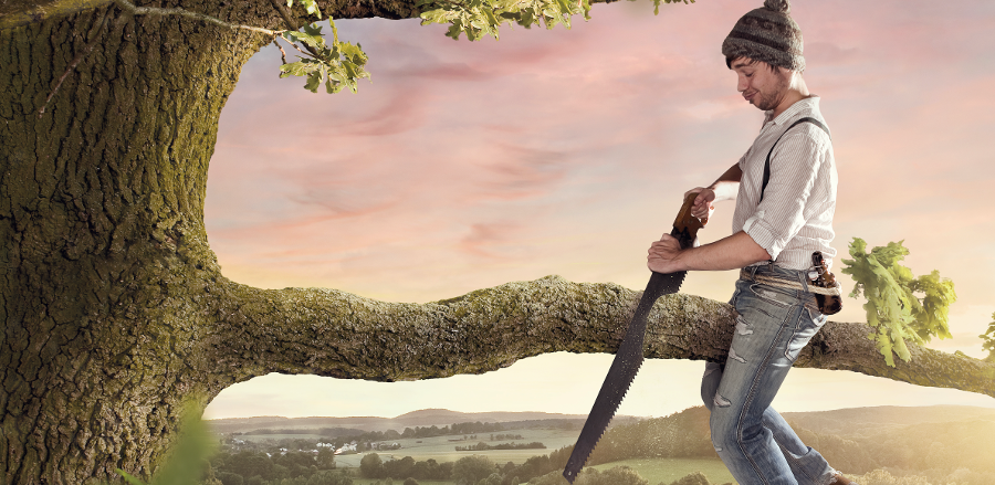 A man is holding a saw on a tree