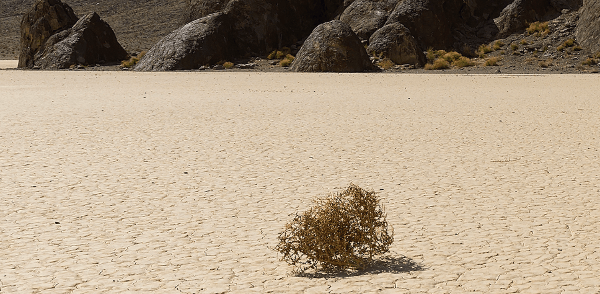 A desert